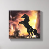 A Friesian Stallion horse rearing