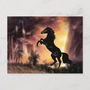 A Friesian Stallion horse rearing Postcard