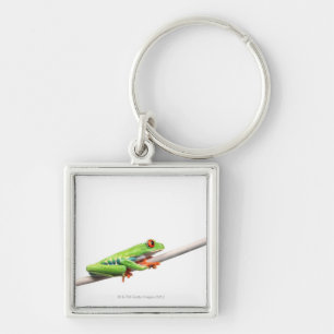 A frog hanging on key ring
