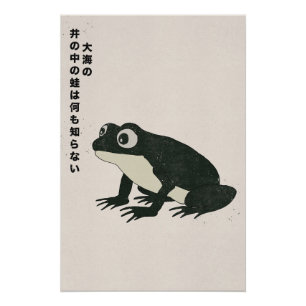 A frog in a well knows nothing of the great sea poster