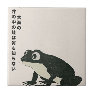 A frog in a well knows nothing of the great sea tile