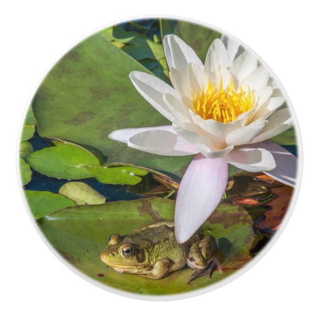 A frog under a flower of water lily ceramic knob (Front)