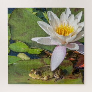 A frog under a flower of water lily jigsaw puzzle