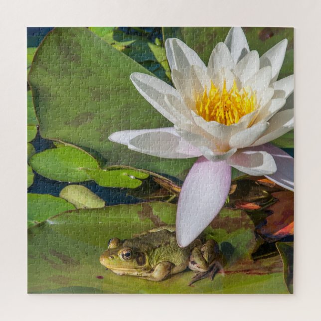 A frog under a water lily flower jigsaw puzzle (Vertical)