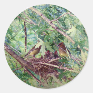 A Full Nest, Parents and Baby Birds Classic Round Sticker