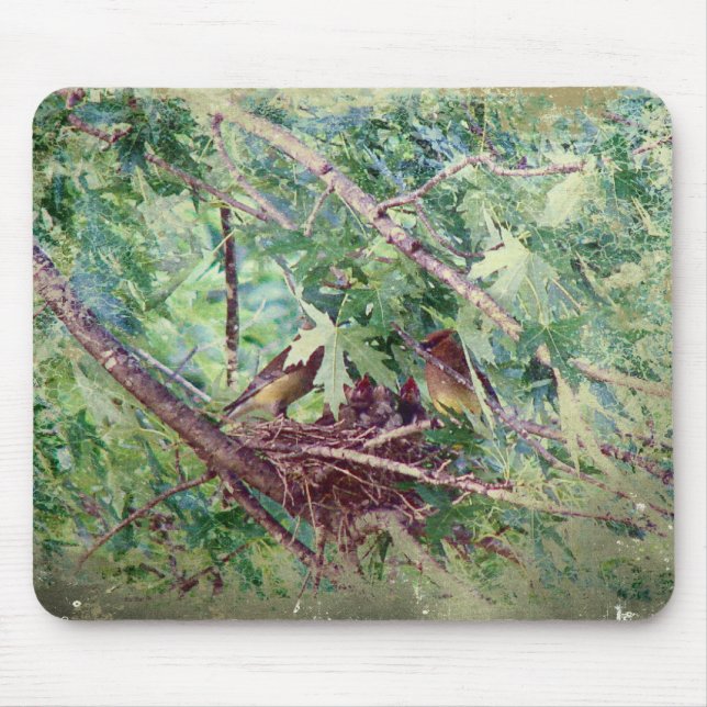 A Full Nest, Parents and Baby Birds Mouse Mat (Front)