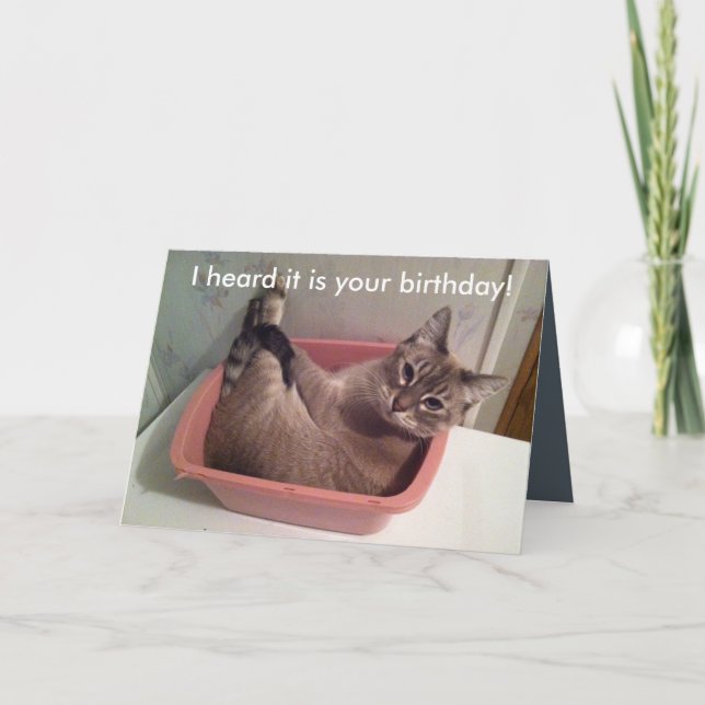 A Funny Cat Birthday Card 5X7 (Front)