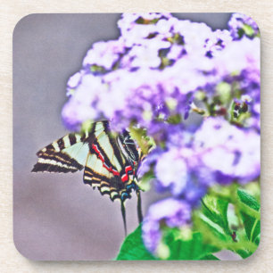A Game of Hide and Seek Coaster