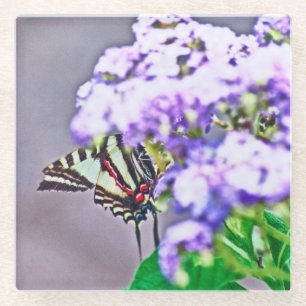 A Game of Hide and Seek Glass Coaster