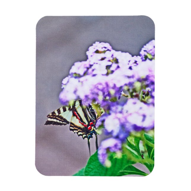 A Game of Hide and Seek Magnet (Vertical)