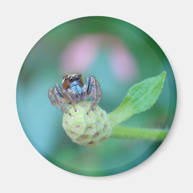 A Garden Friend! Magnet (Front)