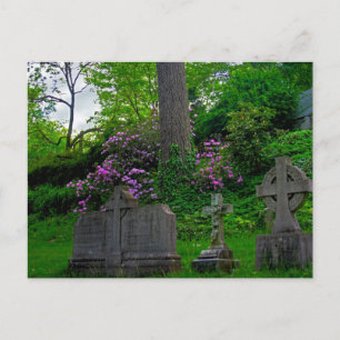 A Gardens Rest PostCard