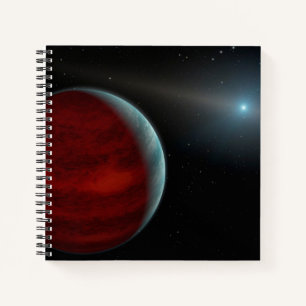 A Gas Giant Planet Around A White Dwarf Star. Notebook
