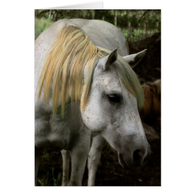 A Gentle Soul (Front)