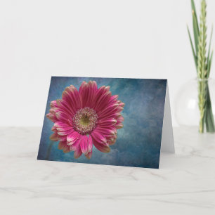 A Gerbera flower card