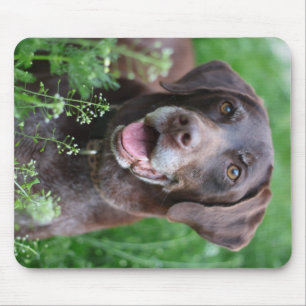 A German Shorthaired Pointer dog in the grass Mouse Mat