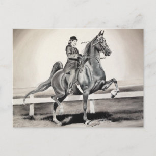 A Girl and A Dream by Linda Dalziel Postcard