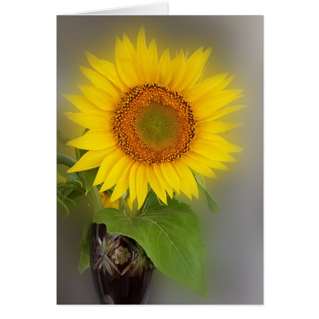 a glowing sunflower (Front)