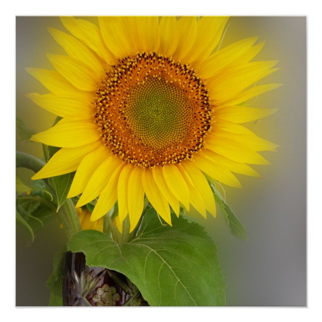 a glowing sunflower poster (Front)
