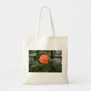 A Glowing Westerland Rose..JPG Tote Bag