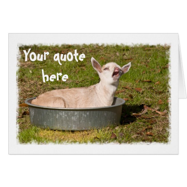 A Goat's View (Front Horizontal)