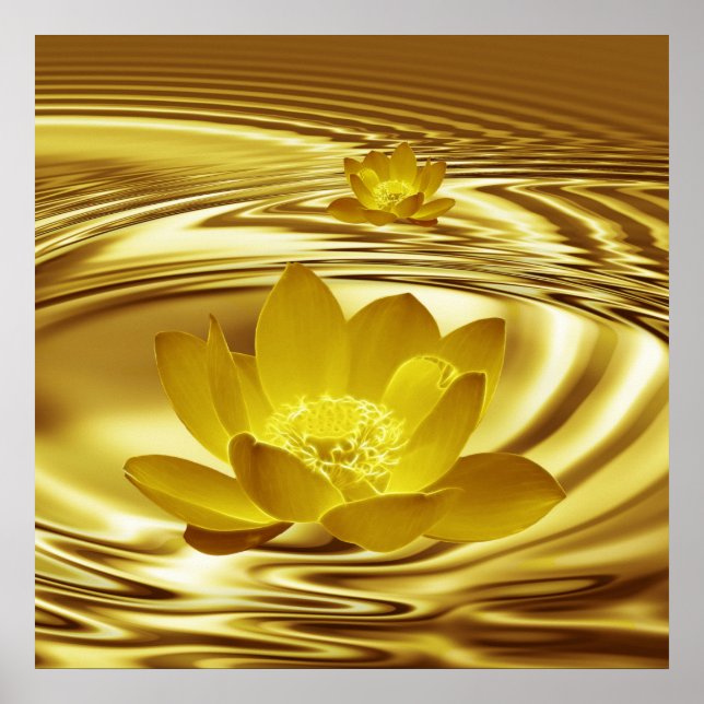 A gold lotus flower and reflections poster (Front)