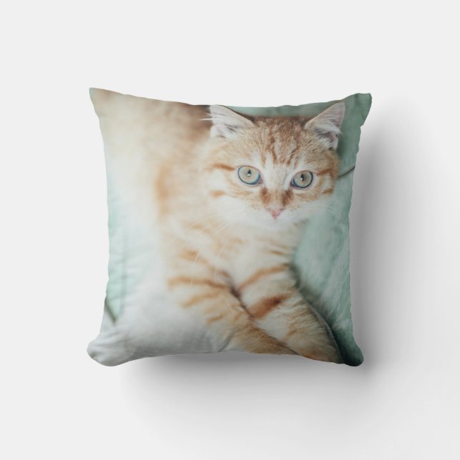 A Golden Colour Kitten Lying Down Cushion (Front)