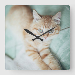 A Golden Colour Kitten Lying Down Square Wall Clock
