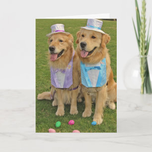 A Golden Egg-Sighting Easter Holiday Card