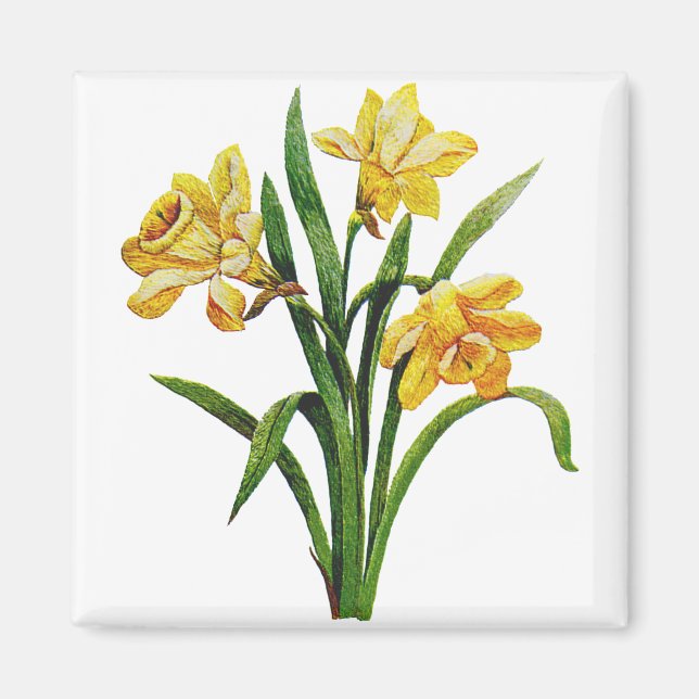 A Golden Host of Embroidered Daffodils Magnet (Front)