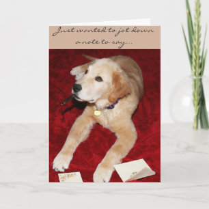 A Golden Writing A Note Saying Sorry Card