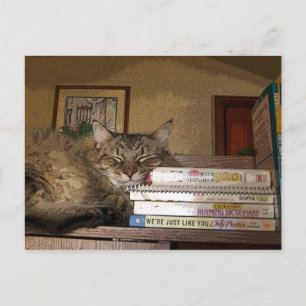 A Good Book Postcard