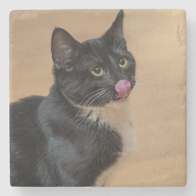 A Good Lick Painterly Stone Coaster (Front)