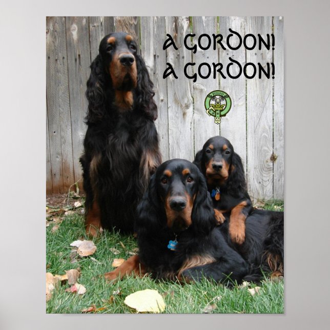A GORDON! A GORDON! Gordon Setter Poster (Front)