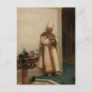 A Grand White Enuch Watching Doves by Jean Vibert Postcard