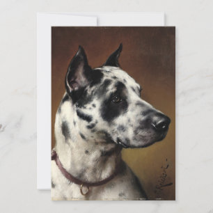 A Great Dane   Carl Reichert