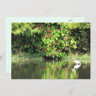 A Great Egret Fishing in the Swamp Holiday Card