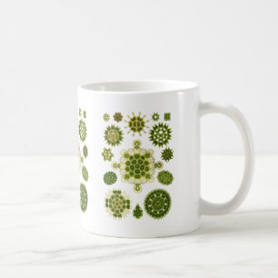 A Green Algae Coffee Mug