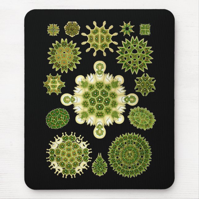 A Green Algae Mouse Mat (Front)