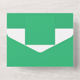 a green background with a white border all in one invitation