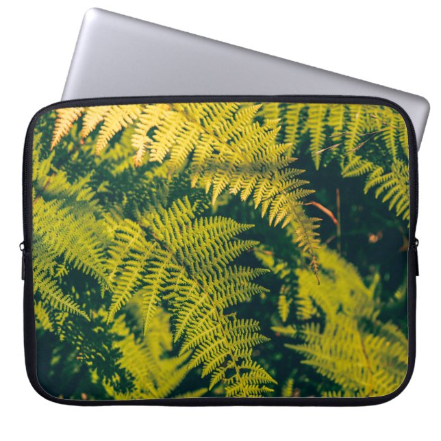 A green fern plants background with shadows. abstr laptop sleeve (Front)