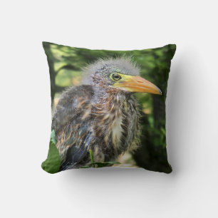 A green heron cushion