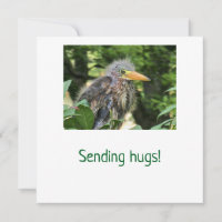 A green heron