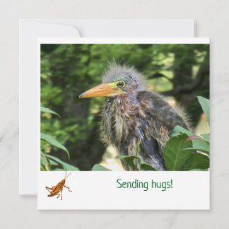 A green heron invitation