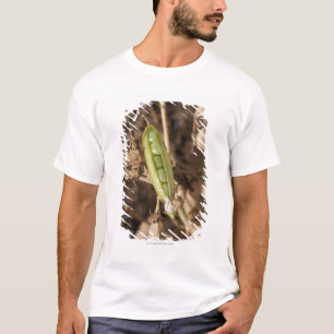 A Green Pea Pod On A Dried Pea Pod Plant T-Shirt