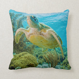 A Green Turtle On The Shallow Reefs Of Bonaire Cushion