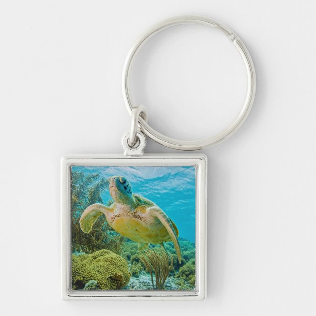 A Green Turtle On The Shallow Reefs Of Bonaire Key Ring (Front)