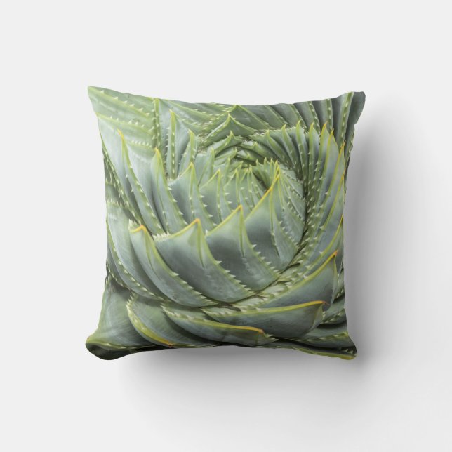 A Green & White Succulent Cushion (Front)