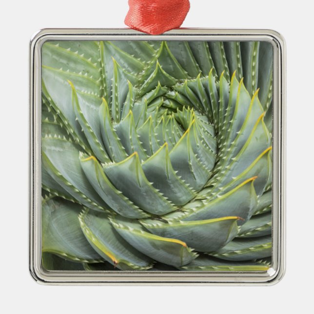 A Green & White Succulent Metal Tree Decoration (Front)