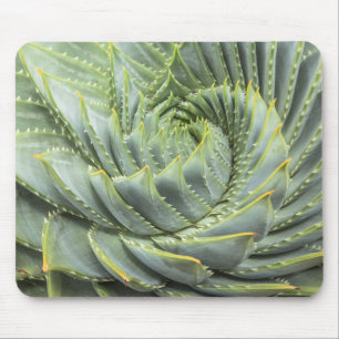 A Green & White Succulent Mouse Mat